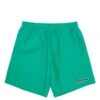 BAGGY HIKING SHORT -Hot Sale Clothing Store fuckingawesomeBAGGYHIKINGSHORTGREENSFA SU22 012 1