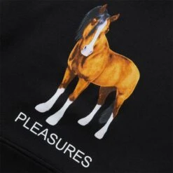 Pleasures DEATH HOODIE -Hot Sale Clothing Store pleasuresDEATHHOODIEBLACKSP22F049 3